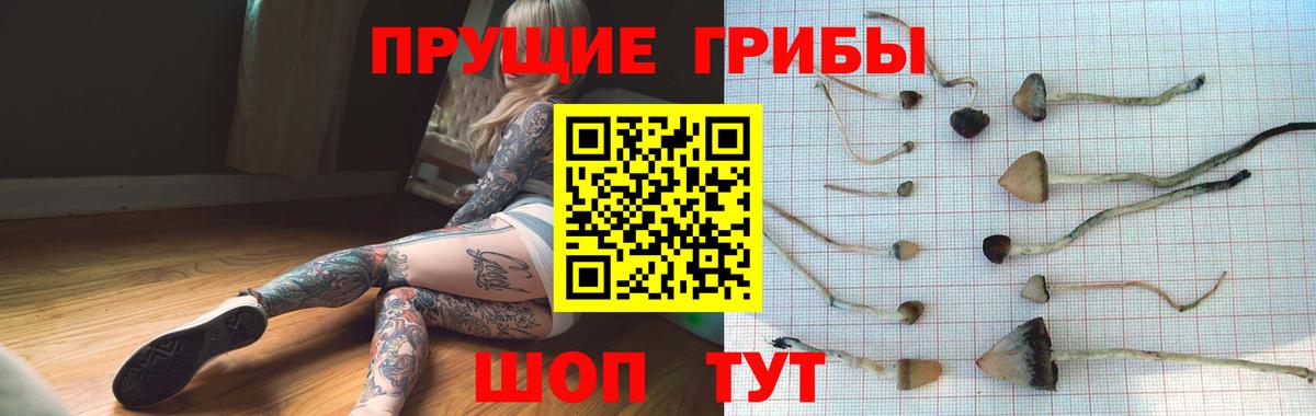 Междуреченск  Галлюциногенные грибы Magic Shrooms  Вход с VPN  Галлюциногенные грибы прущие грибы 