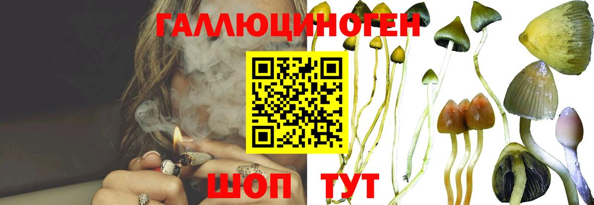 ЭКСТАЗИ  Гашиш  Вход с VPN  Меф кристаллы  Междуреченск  Бошки Шишки 